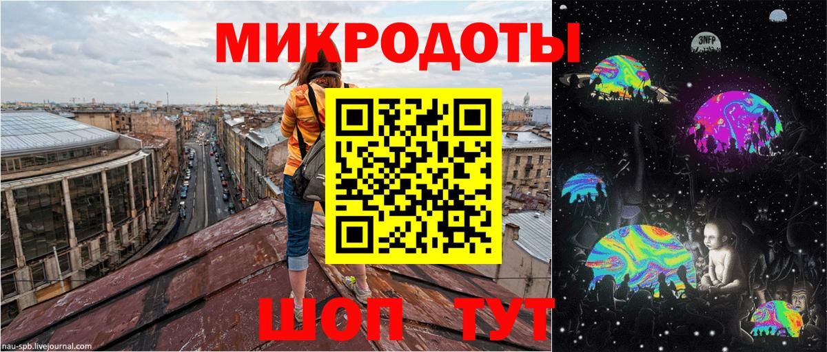 Галлюциногенные грибы Psilocybe Добрянка