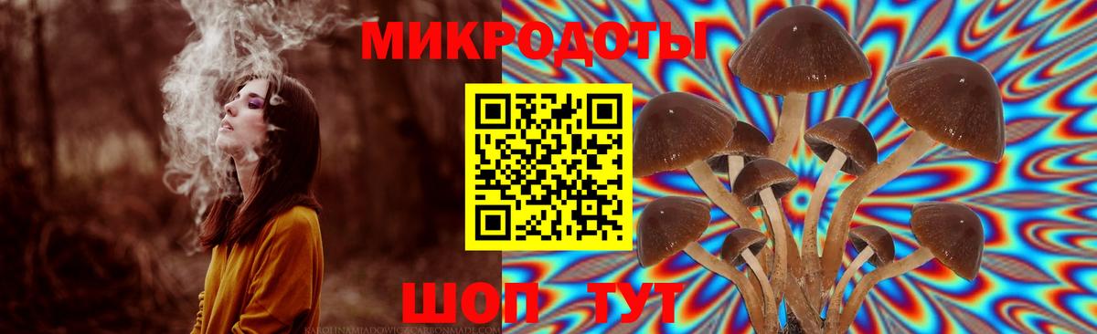 Псилоцибиновые грибы Magic Shrooms  Вход с VPN  Добрянка  Псилоцибиновые грибы Psilocybine cubensis 